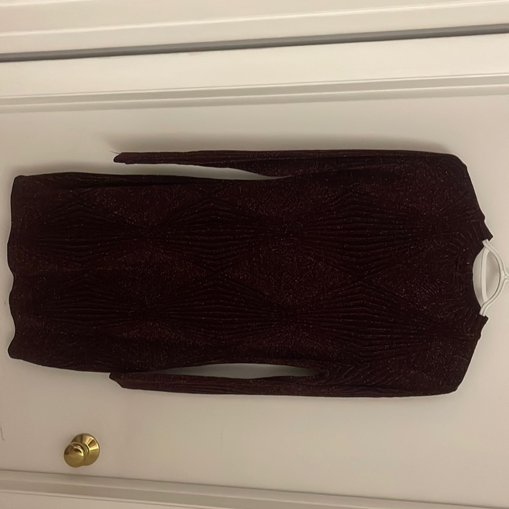 Windsor L long sleeve maroon mini dresses.